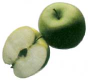 Obst